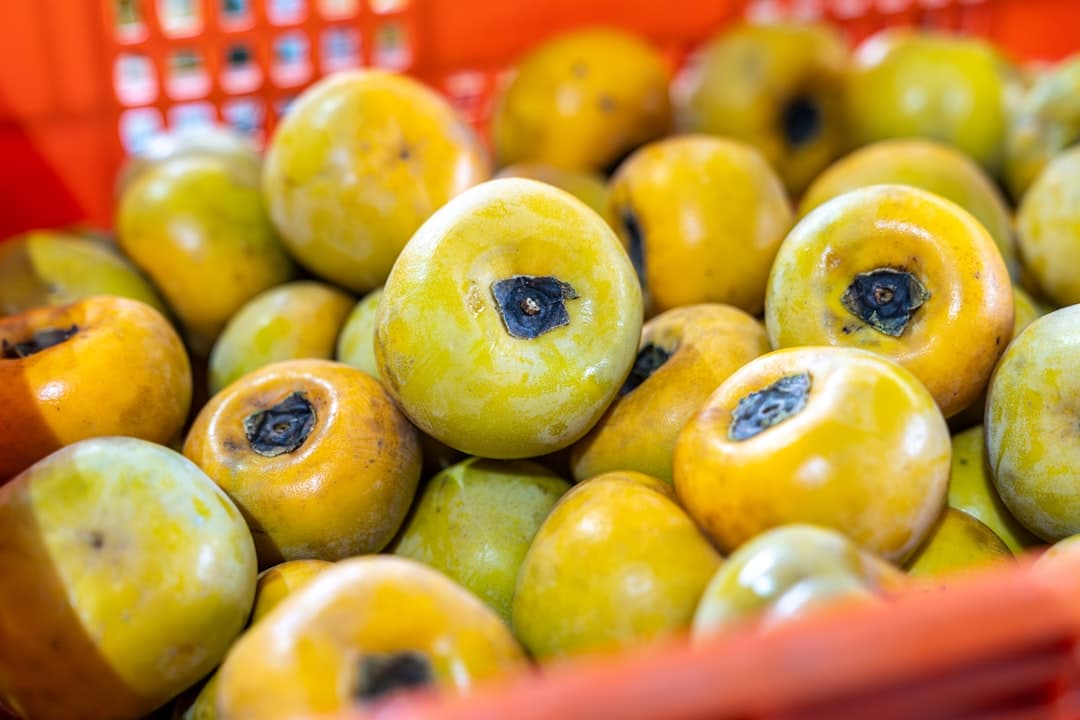 Ber / Jujube