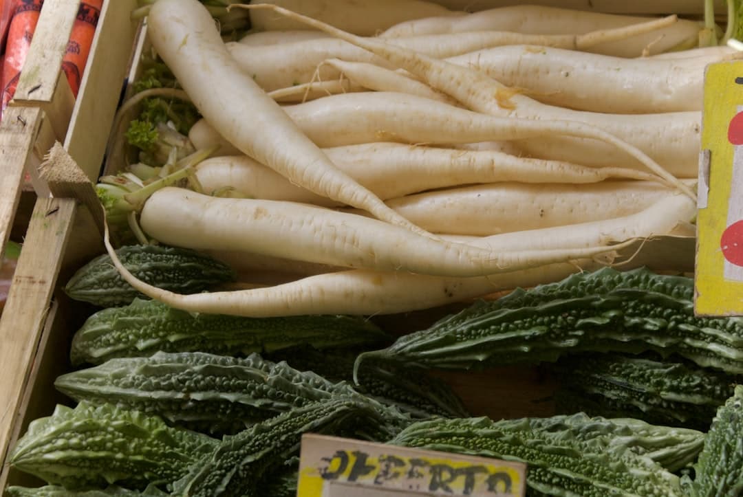 Bitter Gourd