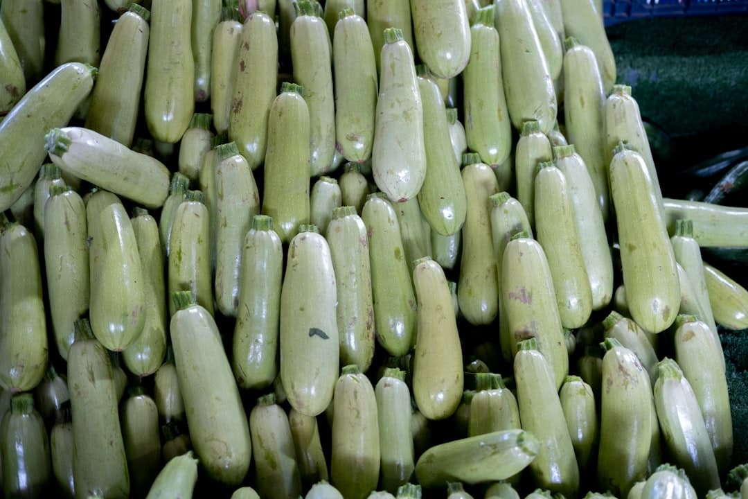Bottle Gourd