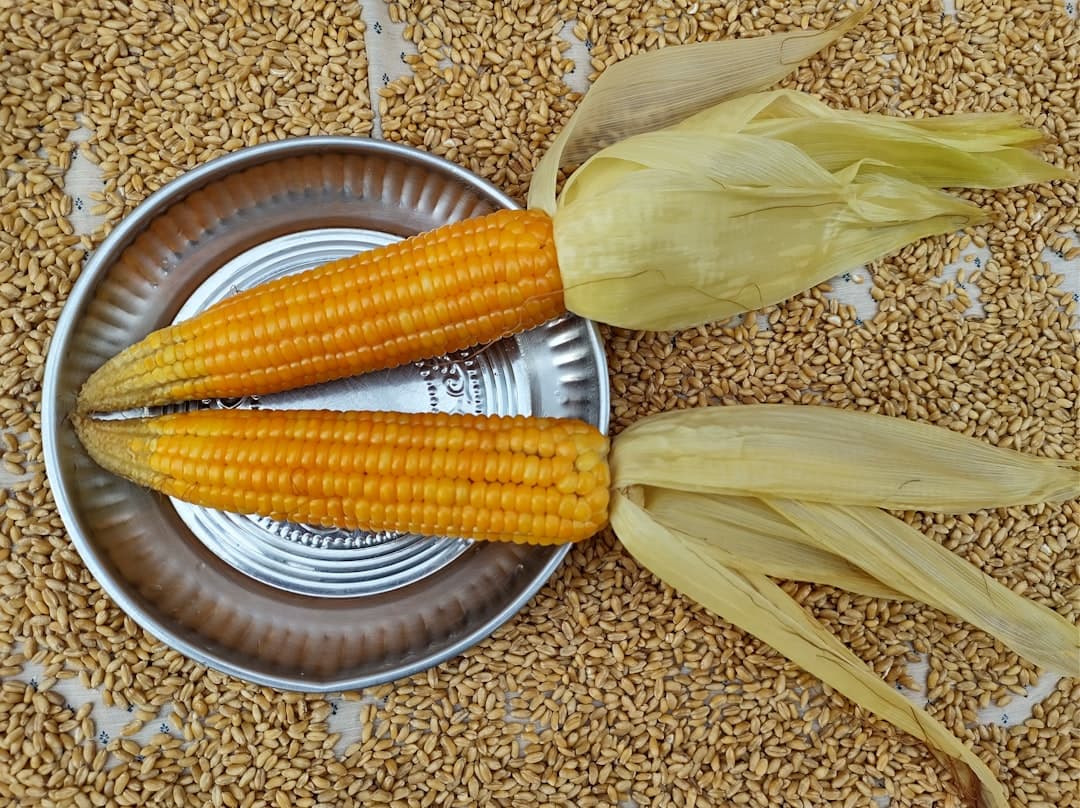 Canned Sweet Corn