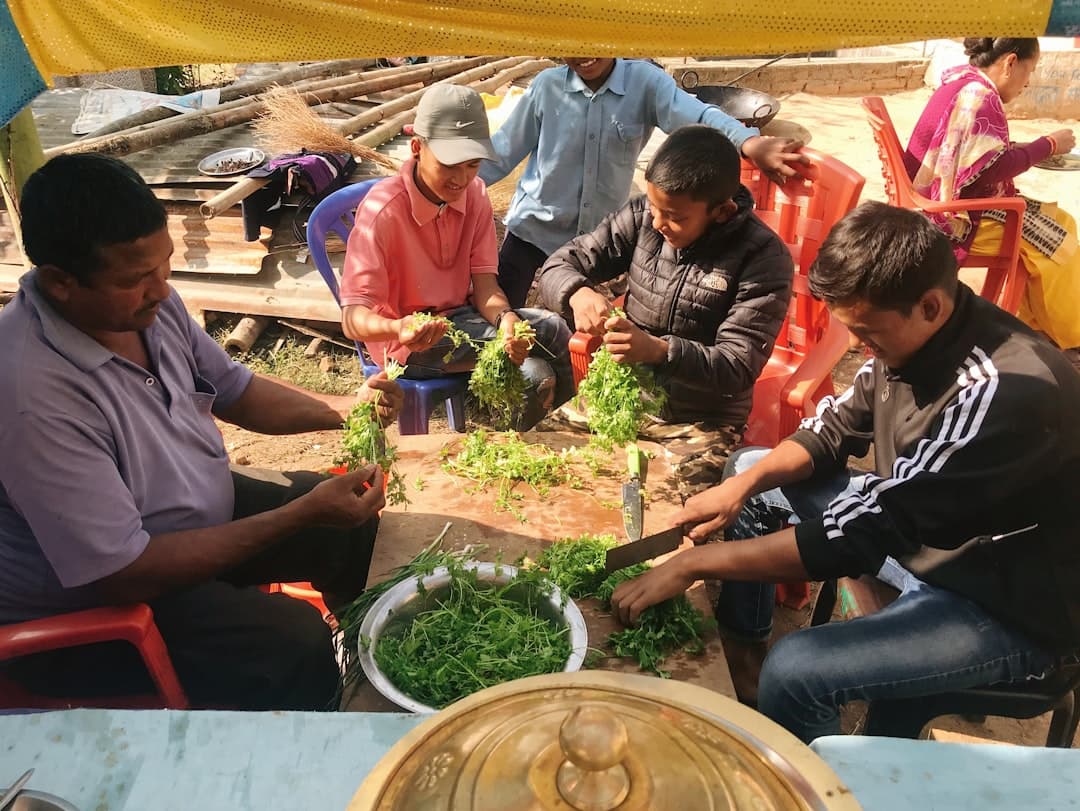 Coriander