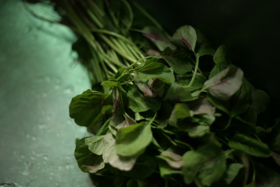 Fenugreek Leaves