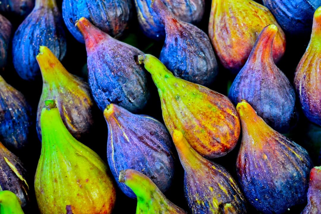 Fig