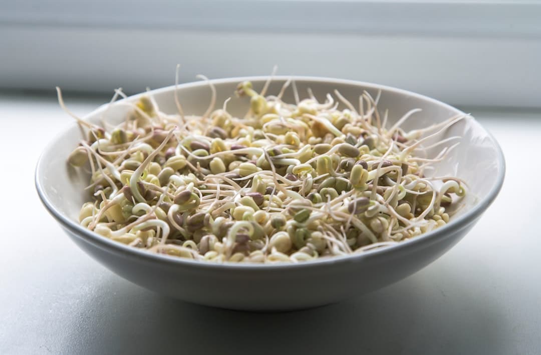 Lentil Sprouts