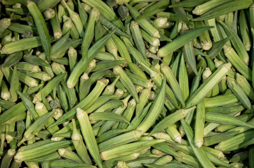 Okra / Ladies Finger
